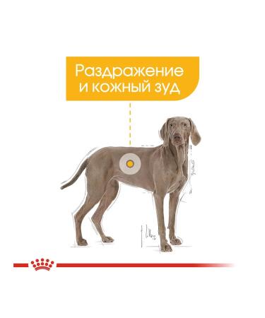 ROYAL CANIN Dry food Maxi Dermacomfort for large dogs 10 kg - Buy Online on GoSupps.com