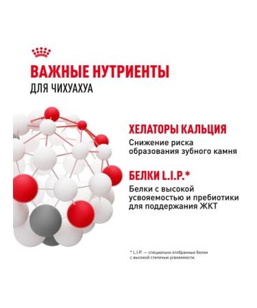 ROYAL CANIN Dry food for adult dogs of the Chihuahua breed 3kg - Buy Online on GoSupps.com