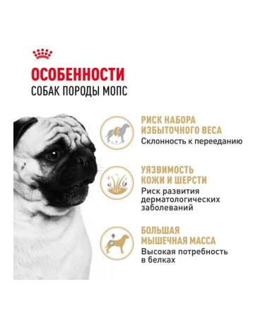 ROYAL CANIN Dry food for adult dogs of the pug breed 1.5kg - Buy Online on GoSupps.com