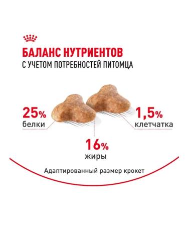 ROYAL CANIN Dry food for adult dogs of the pug breed 1.5kg - Buy Online on GoSupps.com