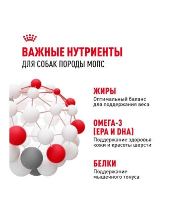 ROYAL CANIN Dry food for adult dogs of the pug breed 1.5kg - Buy Online on GoSupps.com