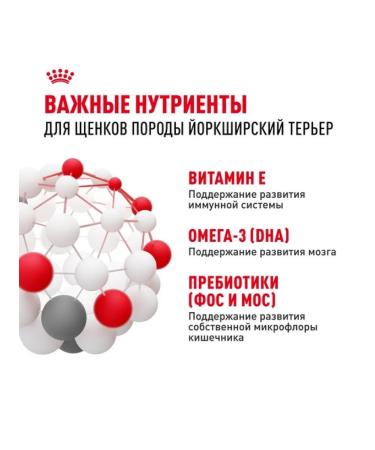 ROYAL CANIN Dry food for breed puppies of the Yorkshire Terrier 1.5 kg - Buy Online on GoSupps.com