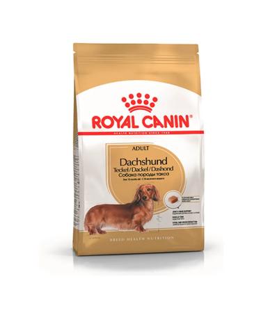 ROYAL CANIN Dry food for adult dogs of a dachshund 7.5 kg