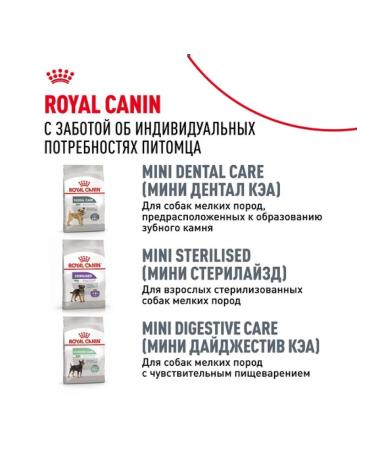ROYAL CANIN Dry food for adult dogs of a dachshund 7.5 kg - Buy Online on GoSupps.com