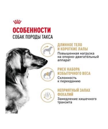 ROYAL CANIN Dry food for adult dogs of a dachshund 7.5 kg - Buy Online on GoSupps.com
