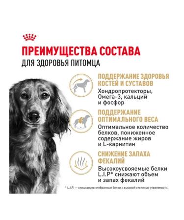ROYAL CANIN Dry food for adult dogs of a dachshund 7.5 kg - Buy Online on GoSupps.com