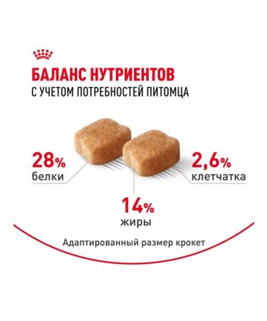 ROYAL CANIN Dry food for adult dogs of a dachshund 7.5 kg - Buy Online on GoSupps.com