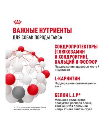 ROYAL CANIN Dry food for adult dogs of a dachshund 7.5 kg - Buy Online on GoSupps.com