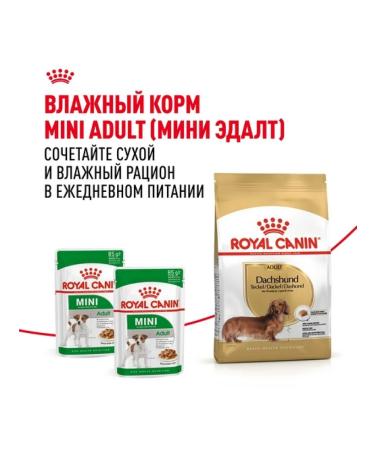 ROYAL CANIN Dry food for adult dogs of a dachshund 7.5 kg - Buy Online on GoSupps.com