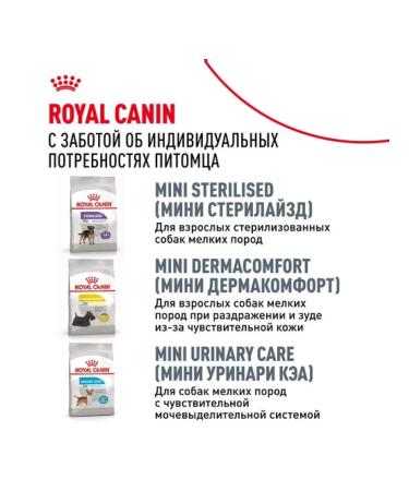 ROYAL CANIN Dry food for dogs of breed miniature shnauzuzer 3kg - Buy Online on GoSupps.com