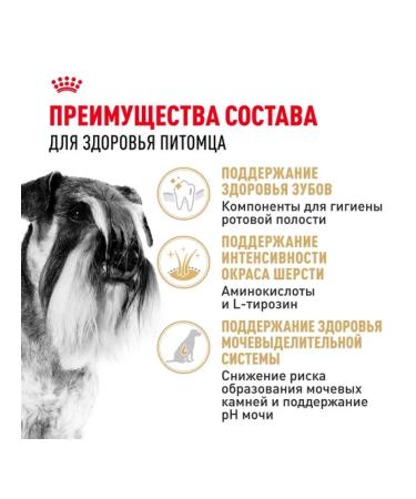 ROYAL CANIN Dry food for dogs of breed miniature shnauzuzer 3kg - Buy Online on GoSupps.com