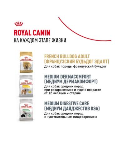 ROYAL CANIN Dry food for breed puppies French bulldog 3kg - Buy Online on GoSupps.com