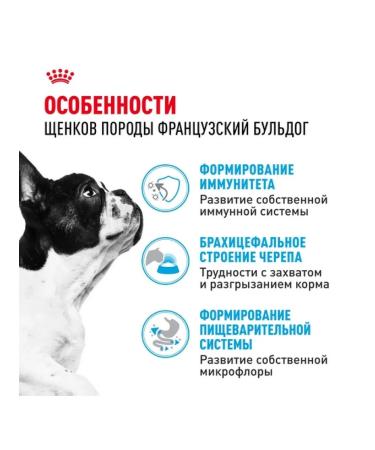 ROYAL CANIN Dry food for breed puppies French bulldog 3kg - Buy Online on GoSupps.com