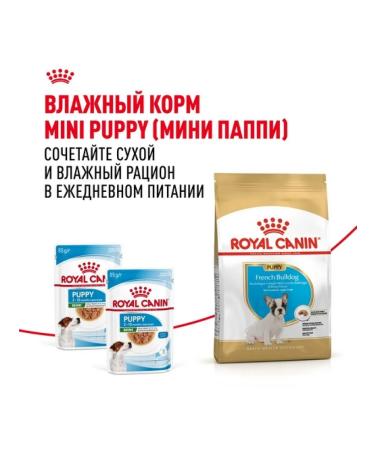 ROYAL CANIN Dry food for breed puppies French bulldog 3kg - Buy Online on GoSupps.com