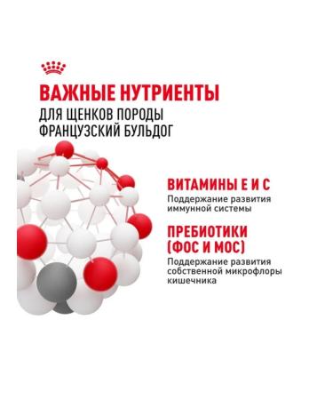 ROYAL CANIN Dry food for breed puppies French bulldog 10kg - Buy Online on GoSupps.com