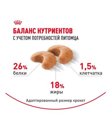 ROYAL CANIN Dry food for dogs of breed French bulldog 3 kg - Buy Online on GoSupps.com