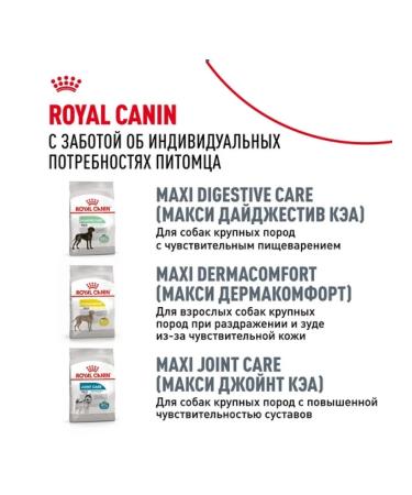 ROYAL CANIN Dry food for adult dogs of the Labrador breed 12kg - Buy Online on GoSupps.com