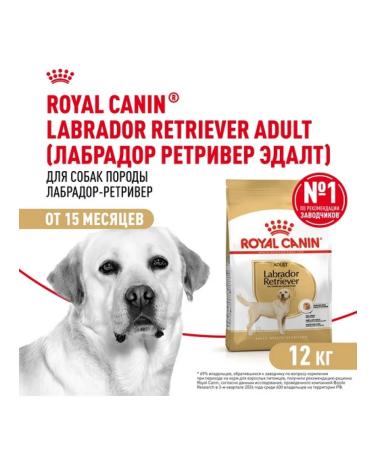 ROYAL CANIN Dry food for adult dogs of the Labrador breed 12kg - Buy Online on GoSupps.com