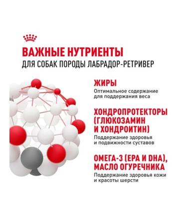 ROYAL CANIN Dry food for adult dogs of the Labrador breed 12kg - Buy Online on GoSupps.com