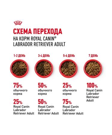 ROYAL CANIN Dry food for adult dogs of the Labrador breed 12kg - Buy Online on GoSupps.com