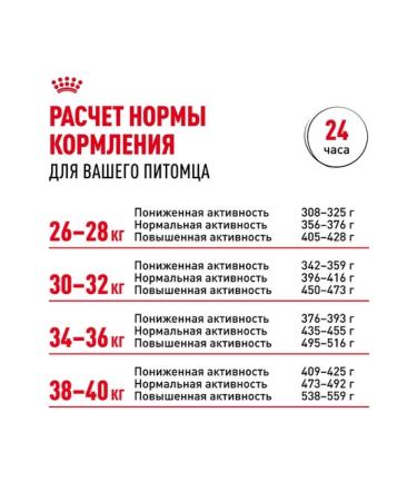 ROYAL CANIN Dry food for adult dogs of the Labrador breed 12kg - Buy Online on GoSupps.com