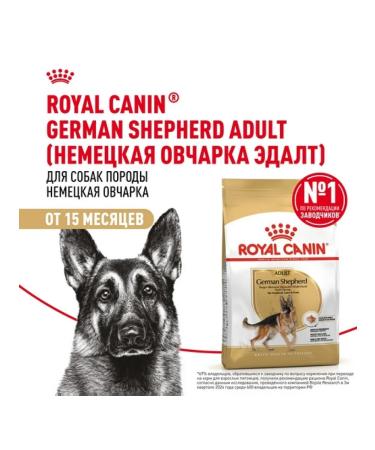 ROYAL CANIN Dry food for dogs of the breed German shepherd 3kg - Buy Online on GoSupps.com