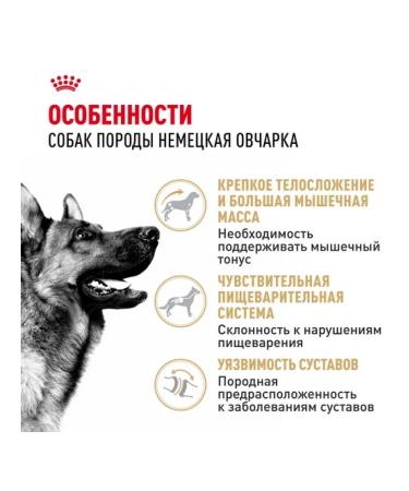 ROYAL CANIN Dry food for dogs of the breed German shepherd 3kg - Buy Online on GoSupps.com