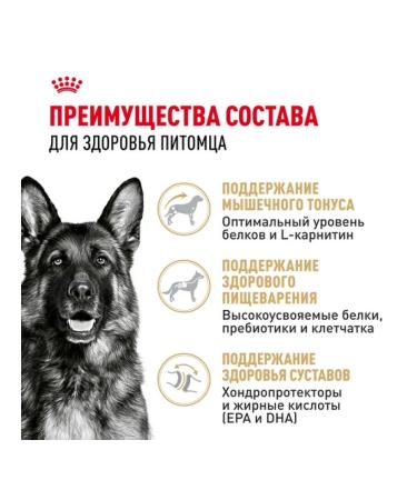 ROYAL CANIN Dry food for dogs of the breed German shepherd 3kg - Buy Online on GoSupps.com