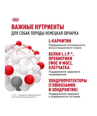 ROYAL CANIN Dry food for dogs of the breed German shepherd 3kg - Buy Online on GoSupps.com