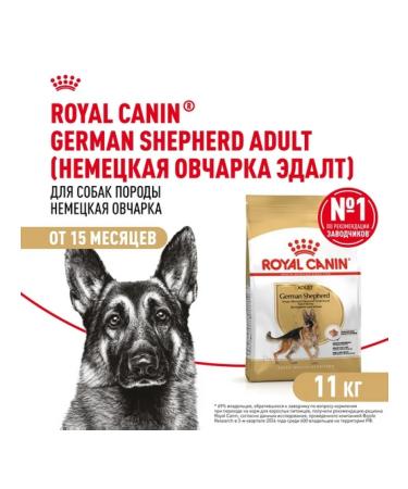 ROYAL CANIN Dry food for dogs of the breed German shepherd 11kg - Buy Online on GoSupps.com