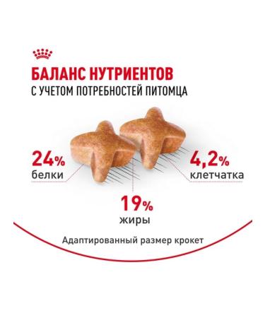 ROYAL CANIN Dry food for dogs of the breed German shepherd 11kg - Buy Online on GoSupps.com