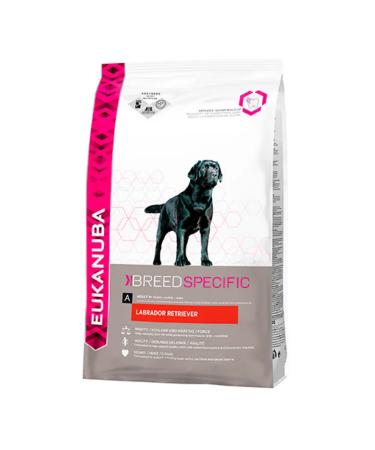 Eukanuba Dry food for adult dogs of the Labrador 10 kg breed