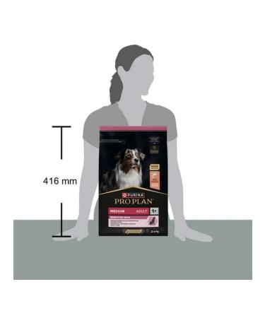 PRO PLAN Dry food for dogs of medium rocks for skin with salmon 3 kg - Buy Online on GoSupps.com