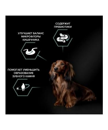 PRO PLAN Feed for dogs of small breeds sensitive gastrointestinal tract lamb 3kg - Buy Online on GoSupps.com