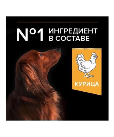 PRO PLAN Dry food for dogs of small breeds with chicken 3 kg - Buy Online on GoSupps.com
