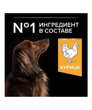PRO PLAN Dry food for dogs of small breeds with chicken 7 kg - Buy Online on GoSupps.com