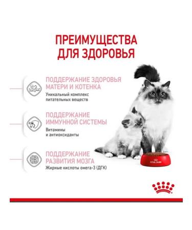 ROYAL CANIN Dry food Mother & Babycat for kittens 2 kg - Buy Online on GoSupps.com