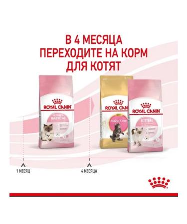 ROYAL CANIN Dry food Mother & Babycat for kittens 2 kg - Buy Online on GoSupps.com