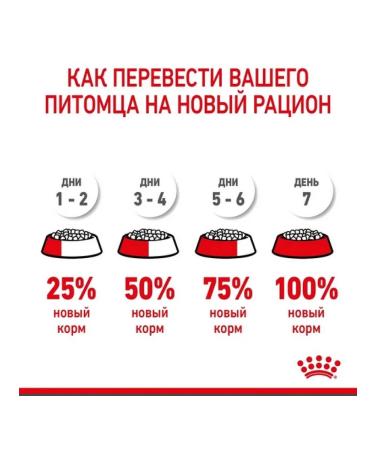 ROYAL CANIN Dry food Mother & Babycat for kittens 4 kg - Buy Online on GoSupps.com