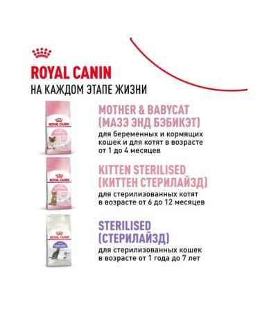 ROYAL CANIN Dry food for kittens aged 4 to 12 months 2 kg - Buy Online on GoSupps.com