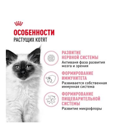 ROYAL CANIN Dry food for kittens aged 4 to 12 months 2 kg - Buy Online on GoSupps.com