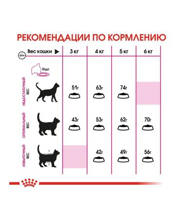 ROYAL CANIN Dry food Exigent Savoir Sensation for cats 10kg - Buy Online on GoSupps.com