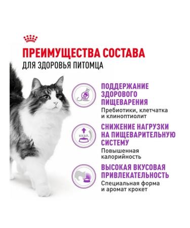 ROYAL CANIN Sensible dry food for cats 2 kg - Buy Online on GoSupps.com