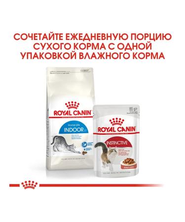 ROYAL CANIN Dry food indoor for cats living in the room 4 kg - Buy Online on GoSupps.com