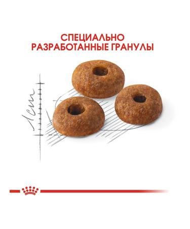 ROYAL CANIN Dry Fit food for cats from 1 year to 7 years 400 g - Buy Online on GoSupps.com