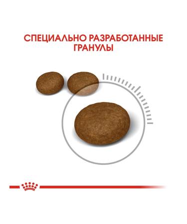 ROYAL CANIN Dry food Hair & Skin Care for Cats 400 g - Buy Online on GoSupps.com