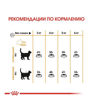 ROYAL CANIN Dry food Hair & Skin Care for Cats 400 g - Buy Online on GoSupps.com