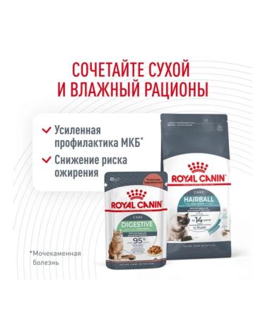ROYAL CANIN Dry food Hairball Care for cats 2kg - Buy Online on GoSupps.com