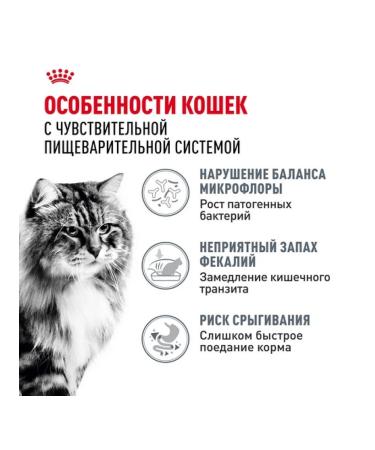 ROYAL CANIN Dry food Digestive Care for cats 2kg - Buy Online on GoSupps.com