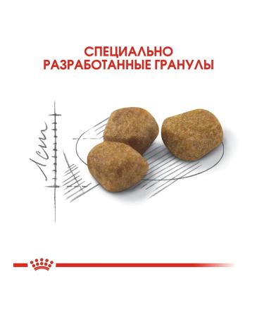 ROYAL CANIN Dry food indoor for cats 7+ 1.5kg - Buy Online on GoSupps.com